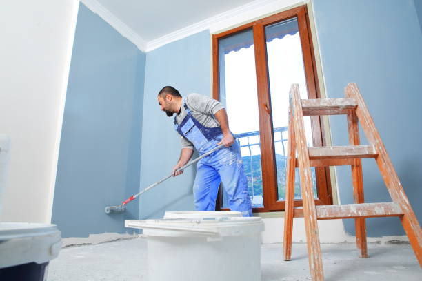 Professional Mold Removal in Clifton, AZ