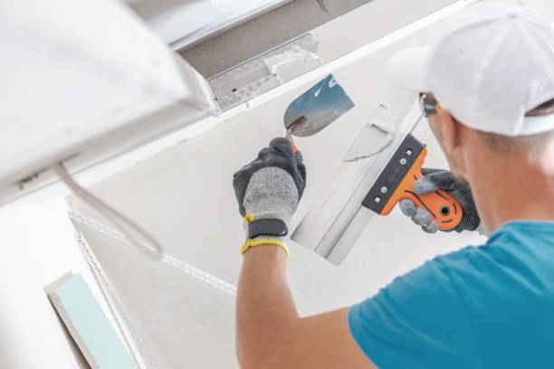 Best Black Mold Removal  in Clifton, AZ